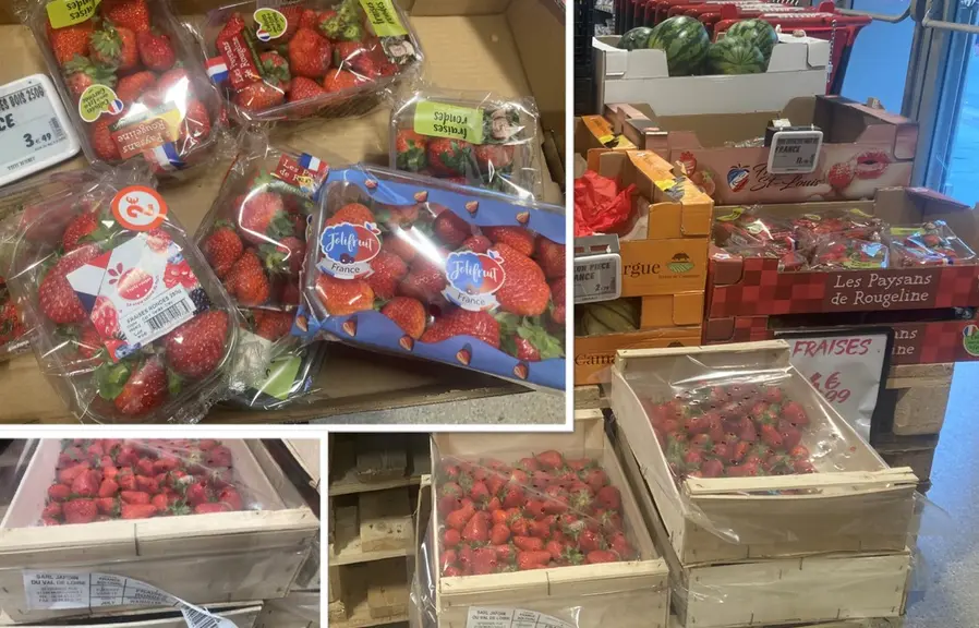 Plusieurs références de fraises françaises en rayon en juin 2024