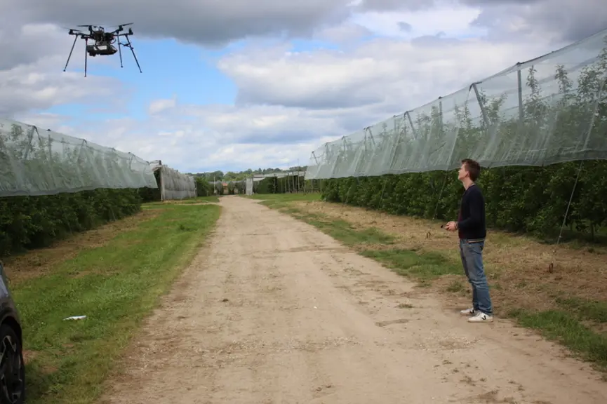Six innovations pour la protection des cultures de fruits et légumes