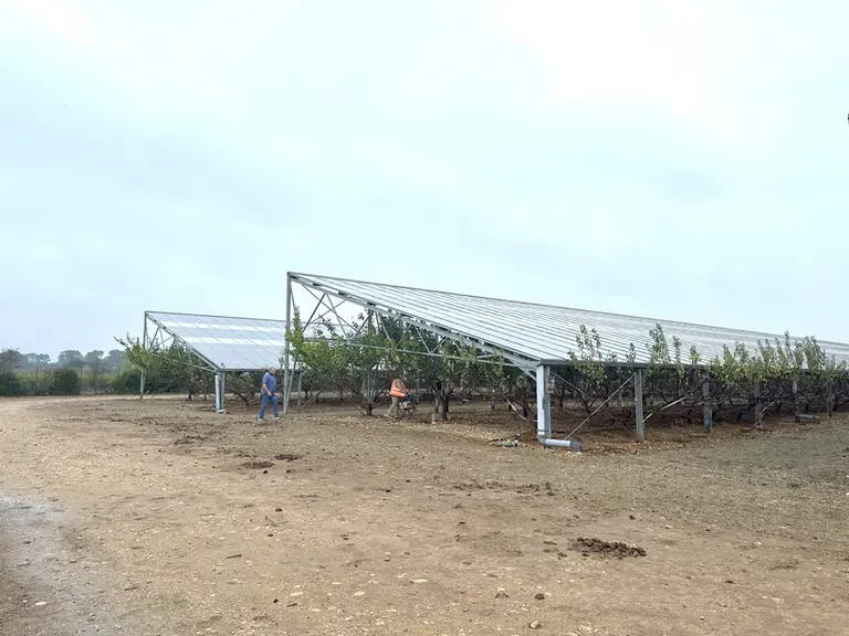 Agrivoltaïsme : comment partger la lumière et le revenu ?