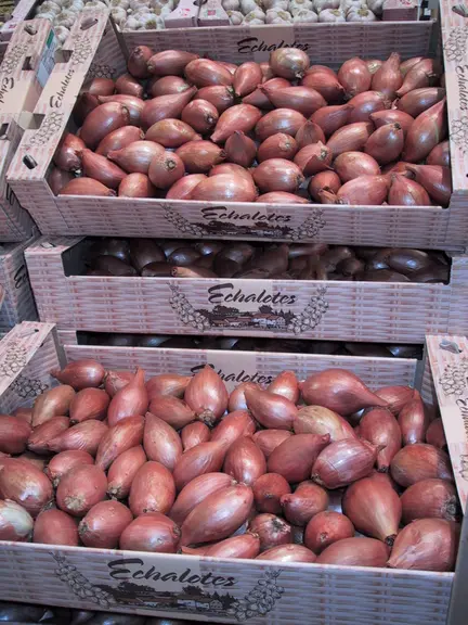 Plateaux d' échalottes