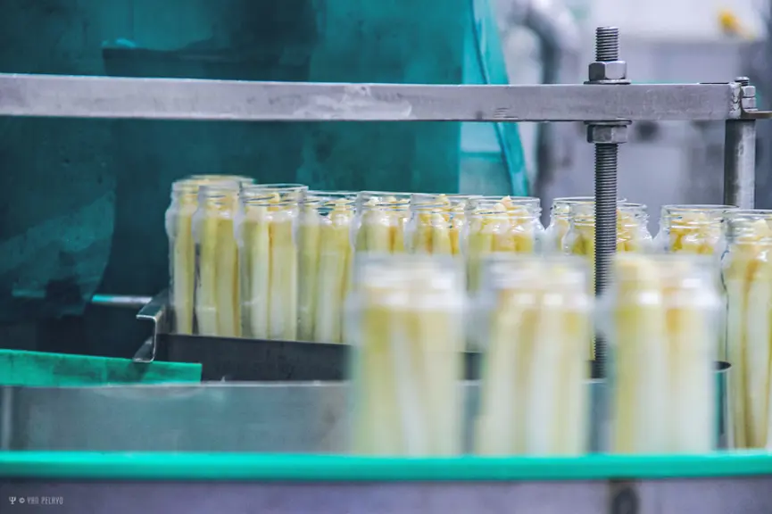 asperges Lecofruit