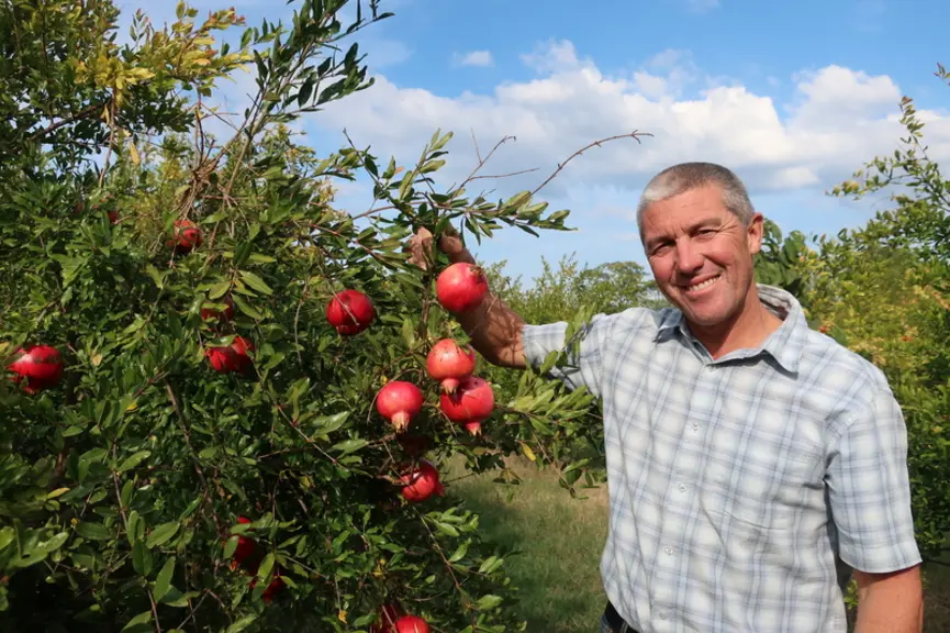 Thomas Saleilles - production de grenades