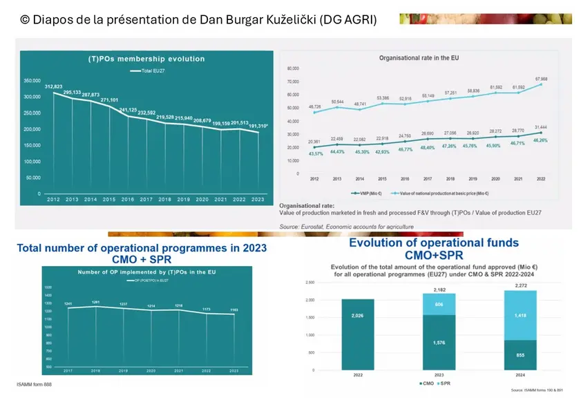 Graphiques montrant l'évolution du nombre d'organisations de producteurs de fruits et légumes en Europe, la valeur des produits qu'ils représentent, et les programmes opérationnels déposés et les fonds obtenus.
