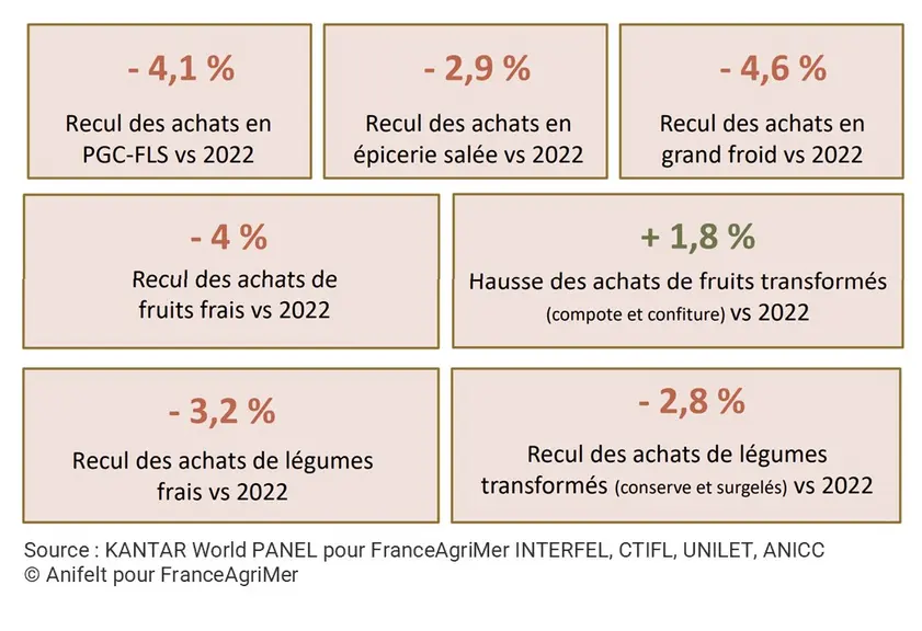Infographie des chiffres clés de la consommation en 2023 : PGC, fruits frais, fruits transformés, épicerie salée, légumes transformés