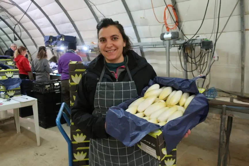 Laurie Lunel, productrice d'endives