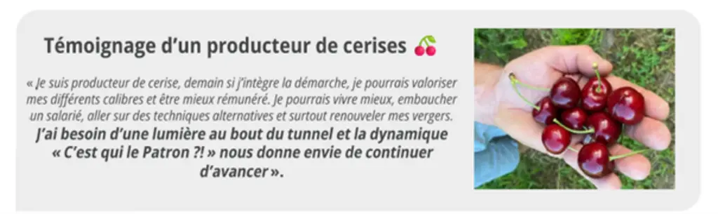 Témoignage d'un producteur de cerise