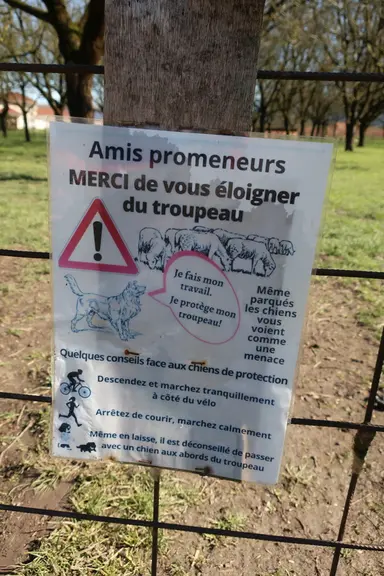 La présence de chiens de protection avec le troupeau implique de bien informer les habitants.