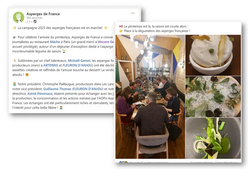 post linkedin d'asperges de France