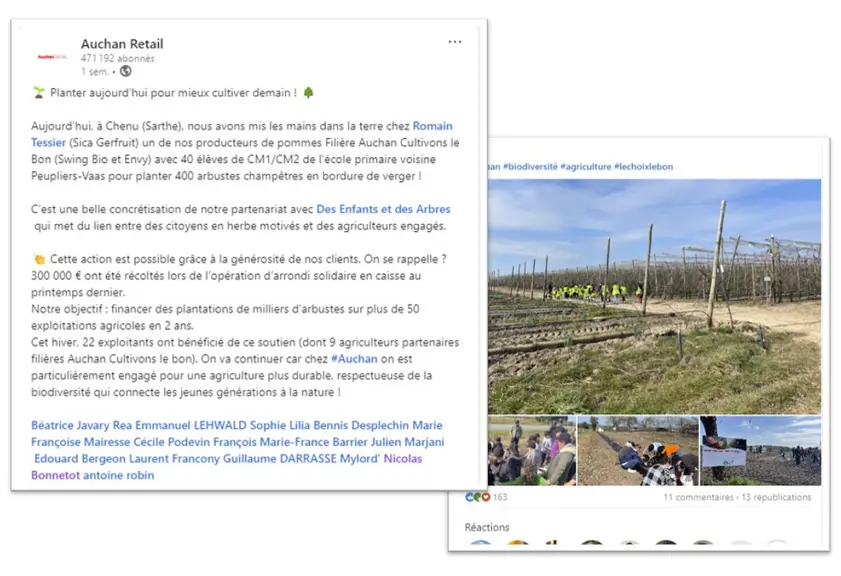 Capture d'écran d'un post LinkedIn d'Auchan Retail à propos du mécénat pour l'association Des Enfants et des Arbres pour faire planter des haies par les enfants