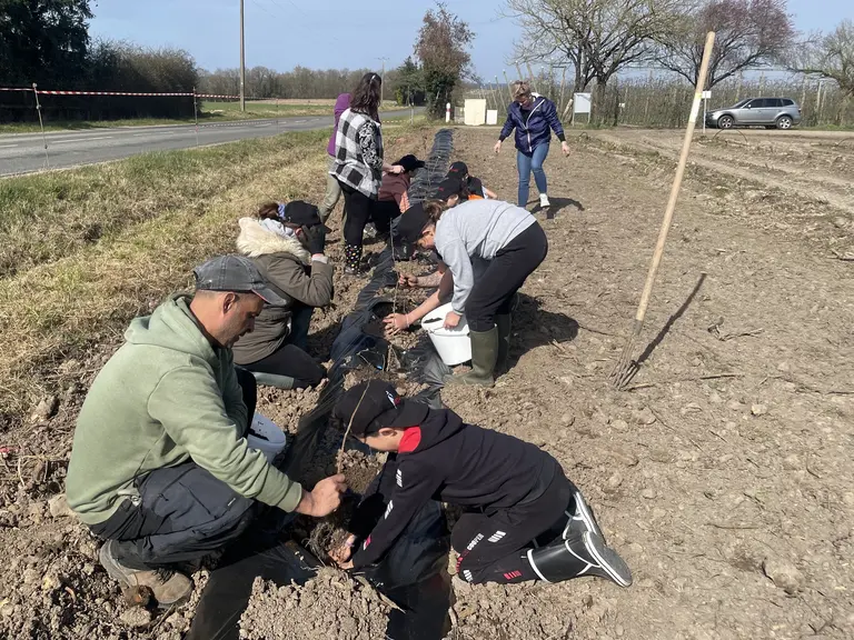 des enfants plantent des arbres