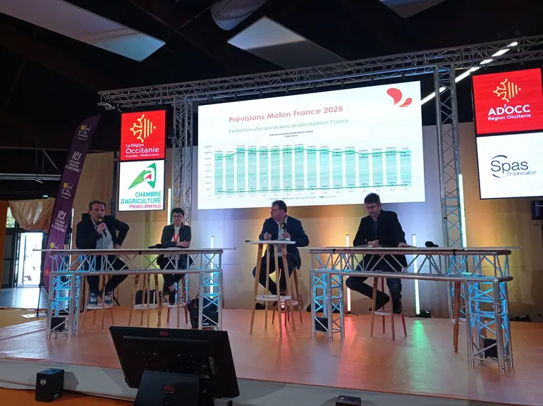 Quatre personnes présentent l'évolution des surfaces de melon français sur un salon