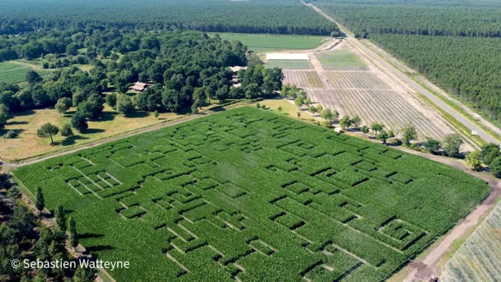 <em class="placeholder">Plus de 6 000 personnes sillonnent le labyrinthe durant l’été de juin à septembre.</em>