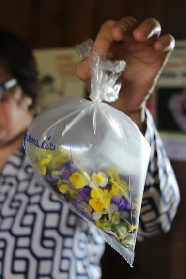 Si certains producteurs vendent leurs fleurs en barquettes, Pauline Dominicy préfère la technique du sachet gonflé d’air.