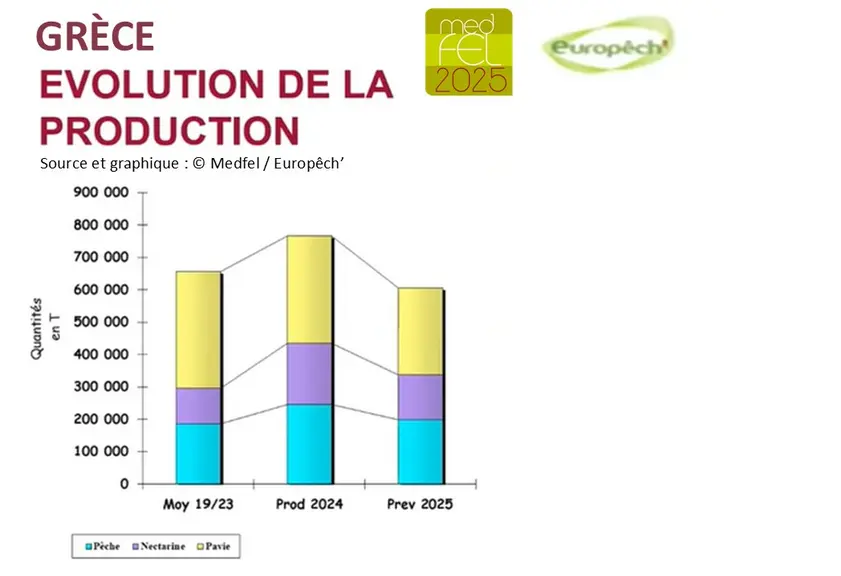 graphique présentant l'évolution de la production de la Grèce en pêche nectarine et pavie