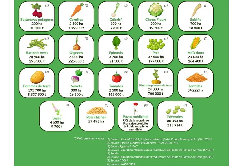 Infographie présentant les cultures concernées par le projet de recherche 1er Declclic avec pour chacune leurs chiffres clés