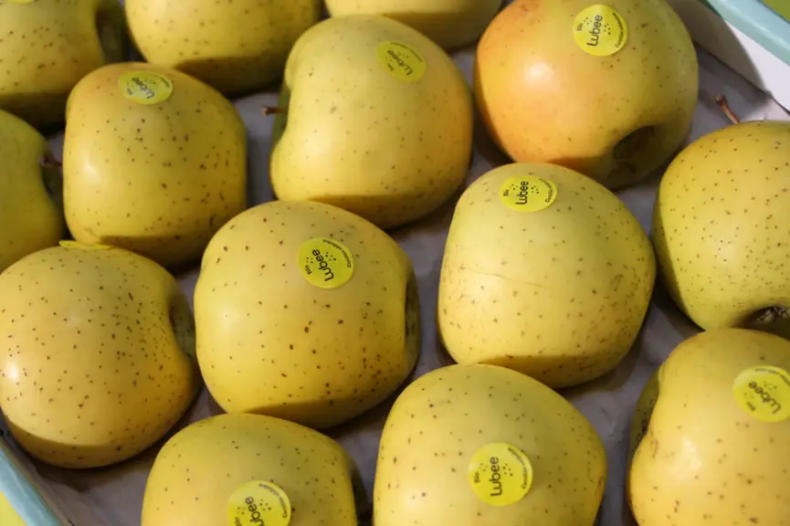 Variété de pomme Lubee® d'Innatis.
