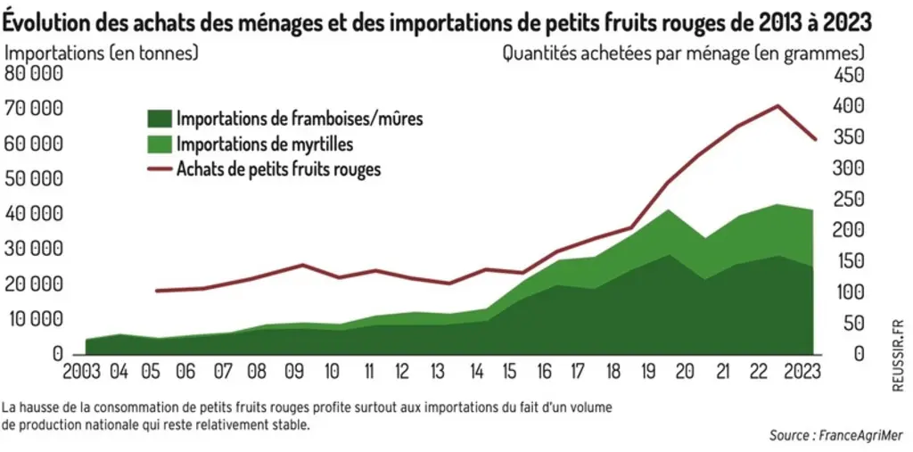 <em class="placeholder">Évolution des achats des ménages et des importations de petits fruits rouges de 2013 à 2023.</em>