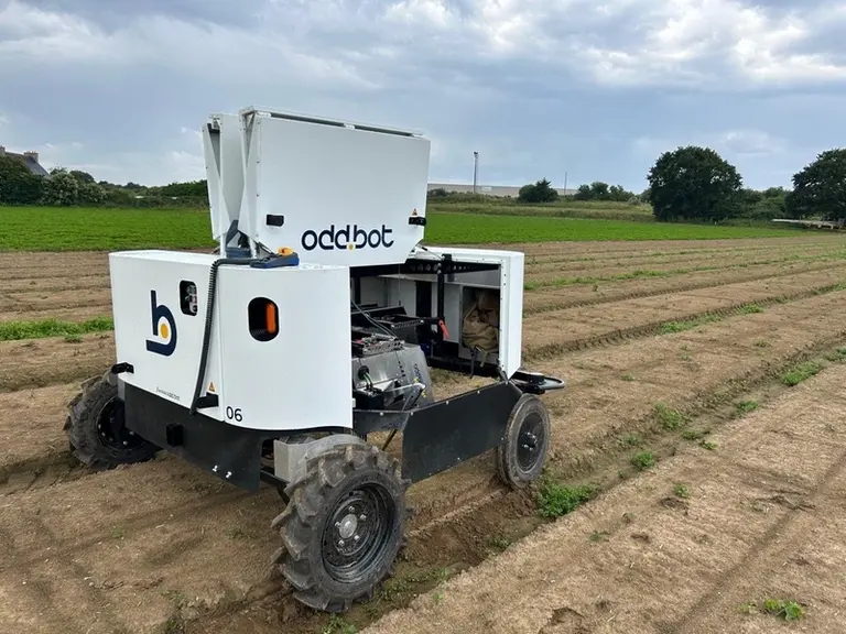 Robot de désherbage mécanique Maverick d'Oddbot, en fonctionnement dans un champ en Bretagne (France).
