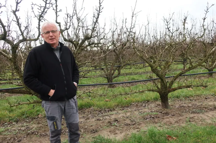 Marc Fauriel, producteur de poires bio à Loriol sur Drôme devant un verger de la variété Conférence, âgé de quinze ans.