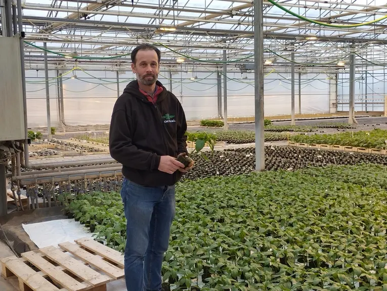 Pascal Coutan, chef de culture chez Hortival.