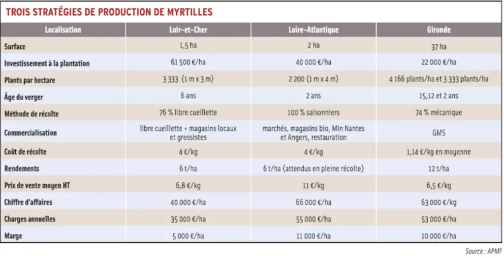 <em class="placeholder">Tableau comparatif de trois stratégies de production de myrtilles.</em>