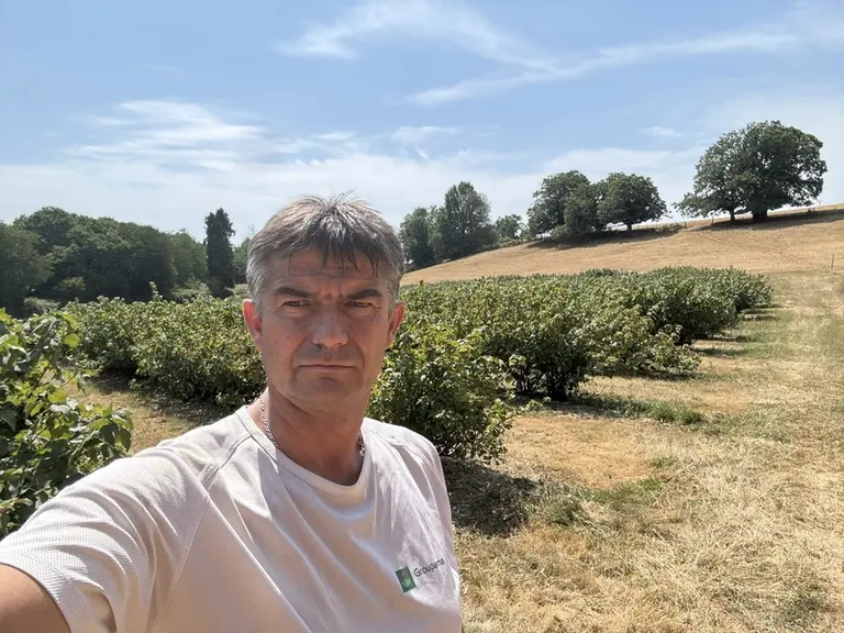 L'agriculteur Richard Renaudie en photo dans son verger de cassis et groseille.
