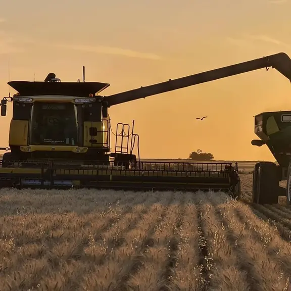 L'Argentine est redevenue un acteur majeur de l'exportation de blé ces dernières années, soulevant la question d'une arrivée d'un blé OGM dans les éch