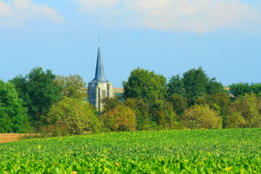 Les infrastructures agroécologiques non productives (haies, mares...) devront représenter 4 % de la SAU pour toucher les aides PAC, ou 3 % si l'on y a