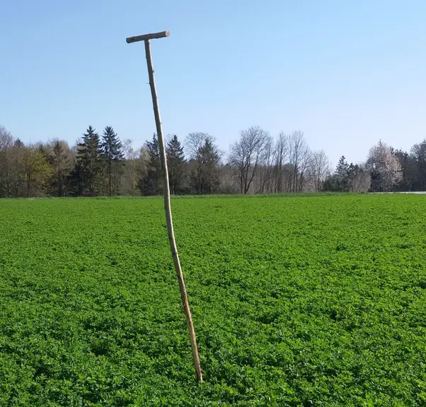 Des perchoirs amovibles facilitent l'action des rapaces contre les campagnols. © Fnams