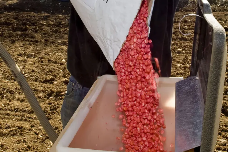 Plus de 100 000 hectares de maïs en France pourraient être semés avec des semences traitées avec un biostimulant en 2019. © Jean Nanteuil