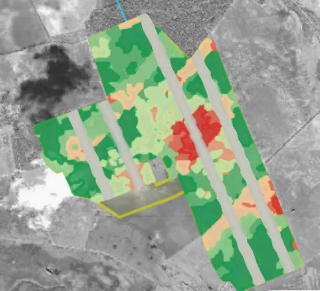 Un zonage par potentiel de production est effectué sur la parcelle et des bandes (en gris) sont réservées pour une densité témoin à comparer aux densités modulées sur le reste de la parcelle. © Limagrain