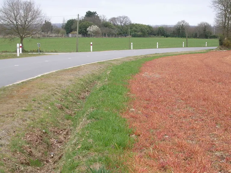 En agriculture de conservation des sols et en semis direct, le glyphosate pourrait être autorisé avec une limitation de dose. © Arvalis