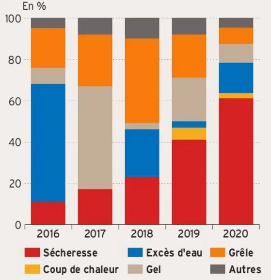 Répartition de la charge de sinistre par événement climatique chez Groupama © Groupama