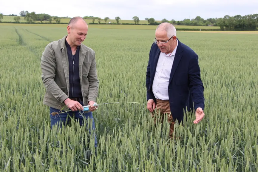Gilles Monaury (à droite), directeur du négoce Vendée Sèvres Négoce, et l'agriculteur Mickaël Proust l'assurent : « entre le bio et le conventionnel,