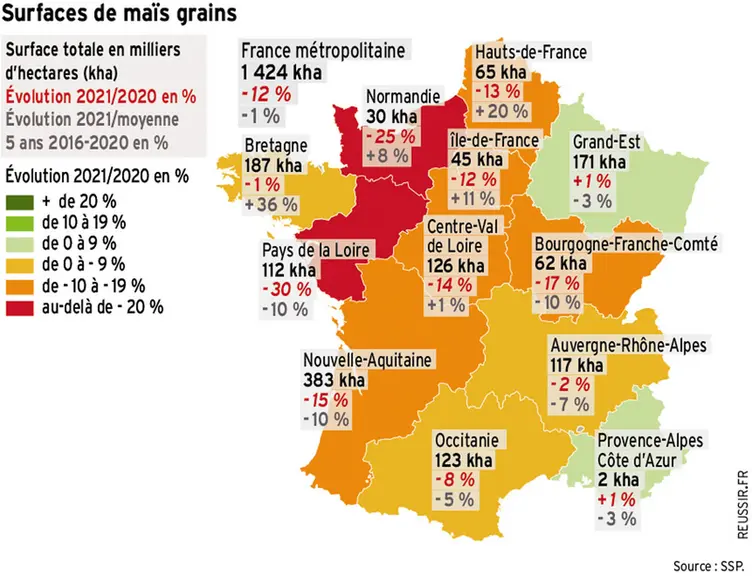 Les surfaces de maïs retrouvent un niveau proche de la moyenne quinquennale en 2021, en retrait de 12 % après le rebond de 2020. © Réussir/SSP