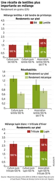 Espèces associées : comment réussir ses mélanges de cultures à la parcelle ?