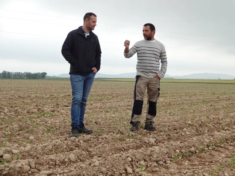Émeric Simon (à gauche) et Yannick Bourdat. « La chimie marche de moins en moins face aux graminées résistantes et, avec des habitations proches, seul