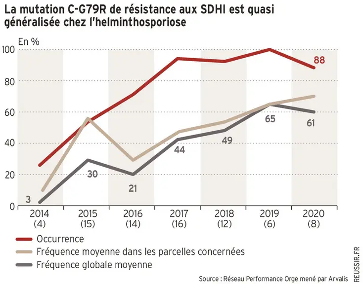 Fongicides céréales : comment freiner la progression de la résistance chez les maladies ?