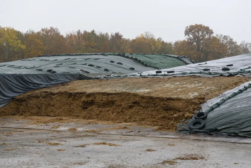 L'ensilage de Cive pourrait être mis à disposition des éleveurs du secteur en cas de pénurie de fourrage liée à de mauvaises conditions météo.
