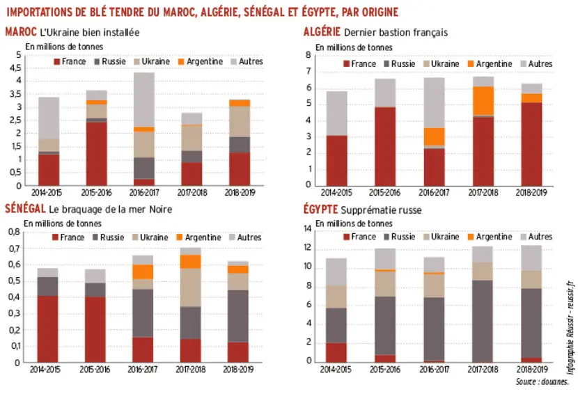 Les blés russes et ukrainiens ont développé une forte suprématie sur le débouché égyptien, et se sont imposés au Maroc.