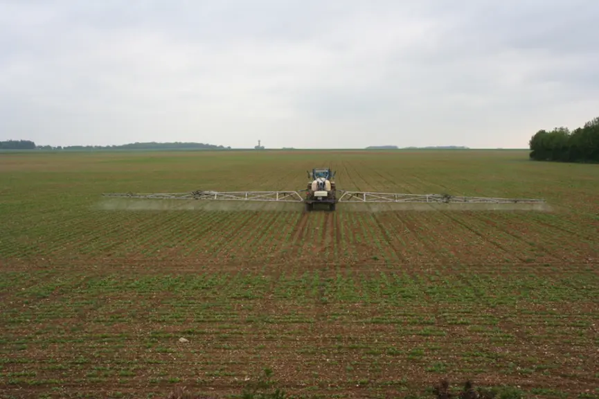 Malgré le retrait de molécules herbicides sur betteraves, des solutions efficaces subsistent.