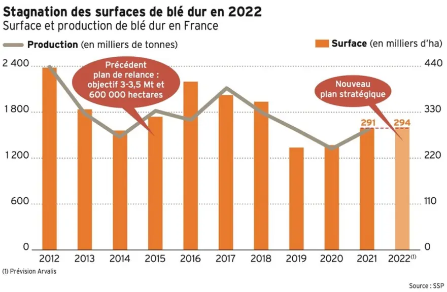 Les surfaces de blé dur devraient rester aux alentours de 290 000 hectares cette année, un niveau faible qui fragilise la filière malgré les précédents plans de relance et les bons prix constatés ces derniers mois.