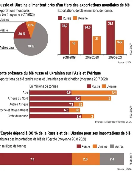 Le poids gigantesque des exportations de céréales de la Russie et de l'Ukraine, notamment à destination de l'Afrique du Nord, explique l'affolement des marchés.