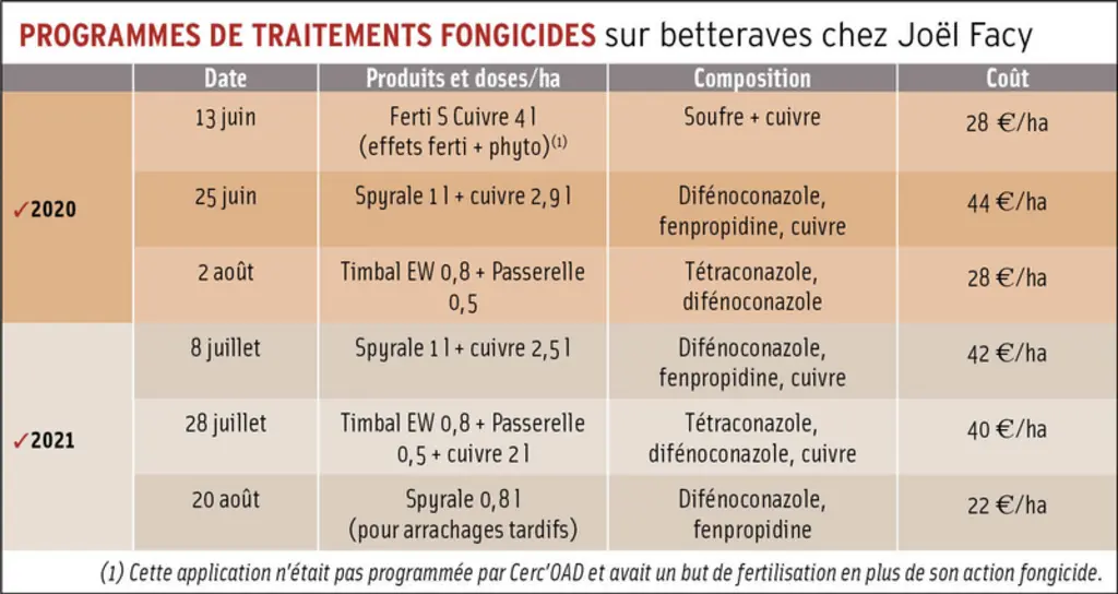 Cercosporiose sur betterave : « Avec Cerc’OAD, je maîtrise mieux le risque et j’économise parfois un fongicide »