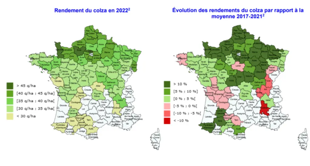 La disparité des rendements du colza est moindre que pour les céréales à paille, avec des niveaux fréquemment compris entre 30 et 45 q/ha, avec des pointes à 50 q/ha.