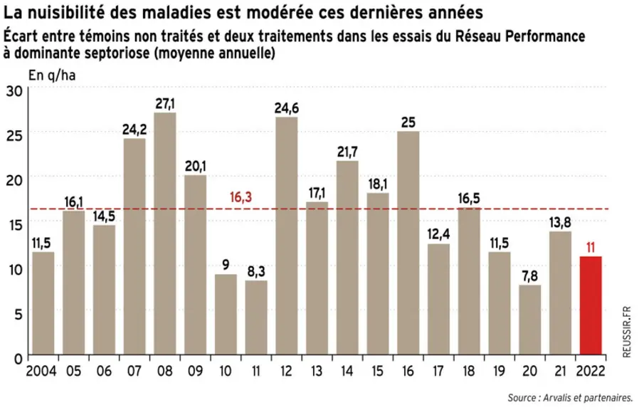 Blé : Prendre en compte le climat dans le développement des maladies