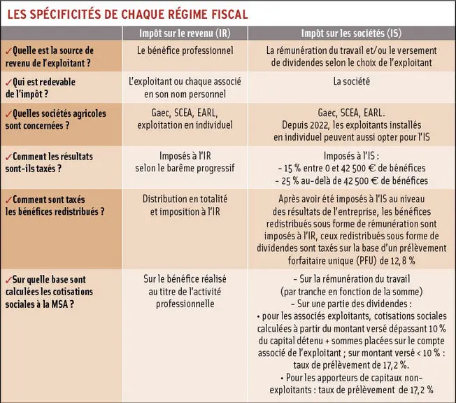 Impôt sur le revenu ou impôt sur les sociétés : choisir le régime fiscal adapté à sa société agricole