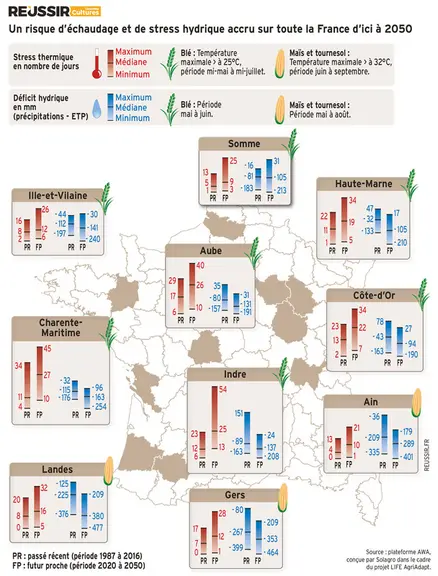 Les cultures de maïs seront confrontées à des printemps et des étés plus chauds et plus secs dans les années à venir.