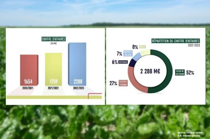 chiffre d'affaires et répartition du chiffre d'affaires de Cristal Union