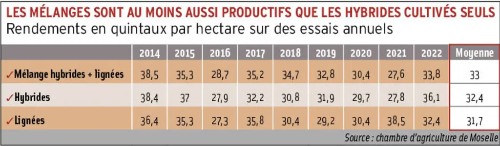 tableau des rendements en quintaux par hectare des différentes mélanges de semences de colza